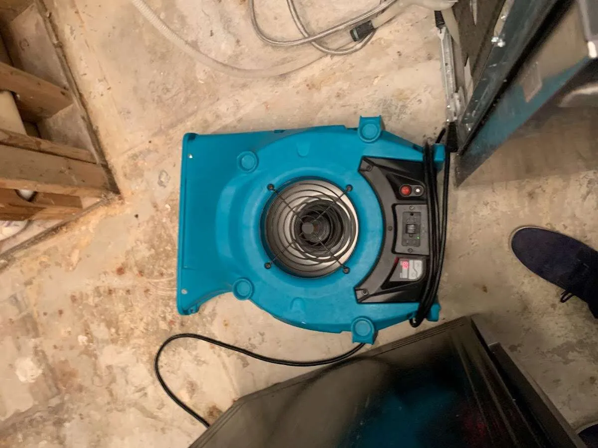 Air mover drying equipment for Mold Remediation & Removal in Orange
